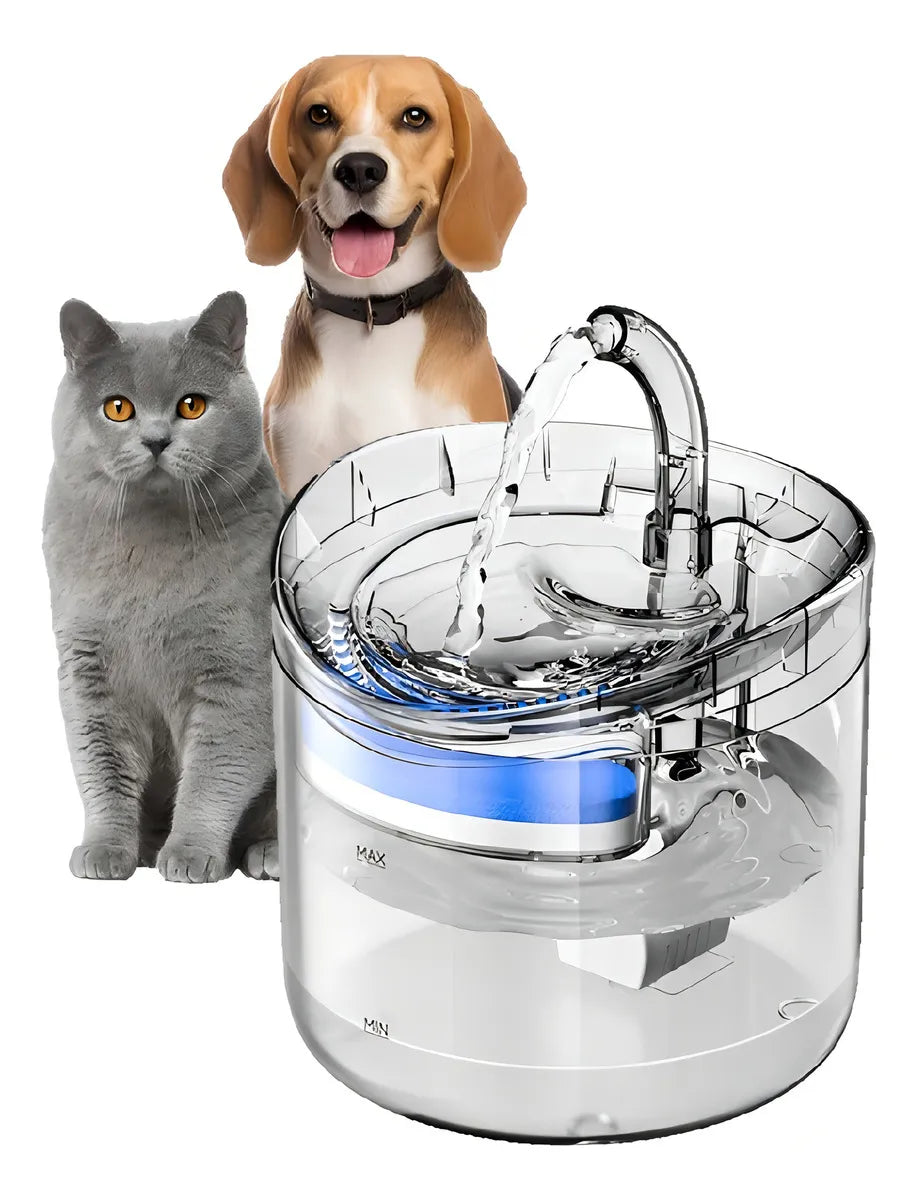 Haz que tu mascota beba más agua en minutos 🐶🐱